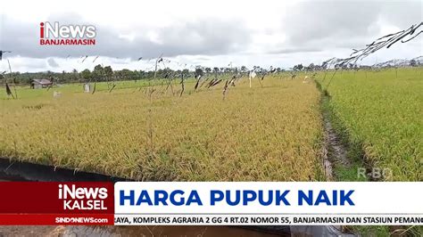 Petani Keluhkan Harga Pupuk Obat Hama Naik Youtube