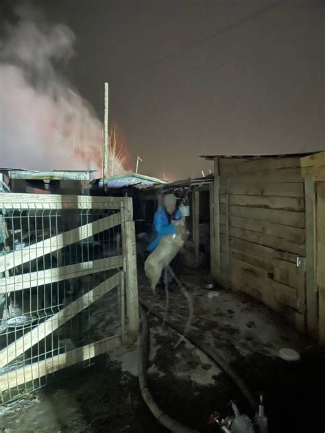 В пожаре под Екатеринбургом в приюте сгорели около 100 животных ФОТО