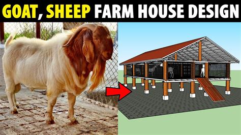 Sheep House