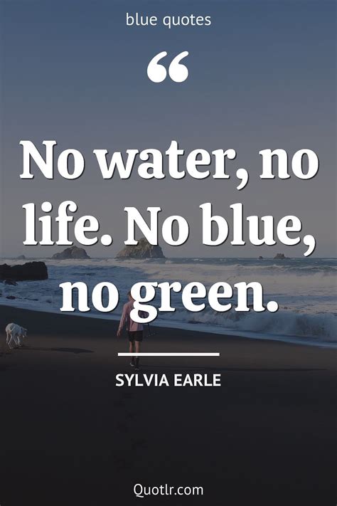 More Than Blue Quotes That Are Proven To Give You Inner Joy In 2021 Blue Quotes Quotes That