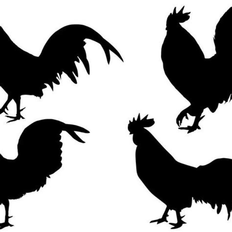 Chicken Silhouette Outline at GetDrawings | Free download