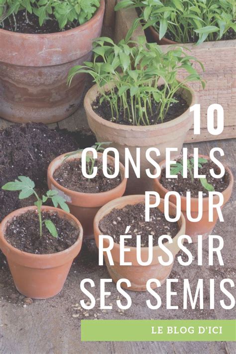 Jardinage 10 conseils pour réussir ses semis Jardinage Jardinage