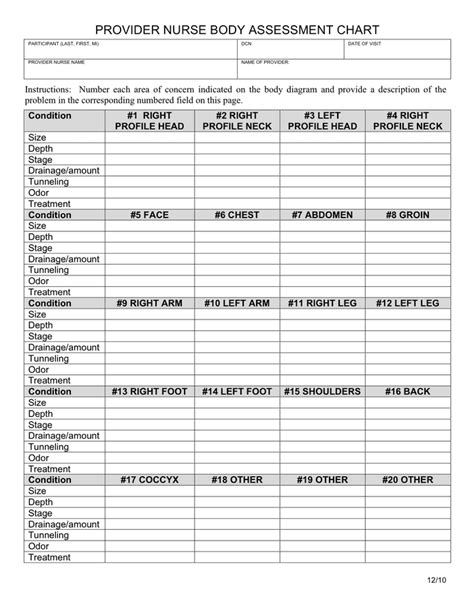 Provider Nurse Body Assessment Chart In Word And Pdf Formats