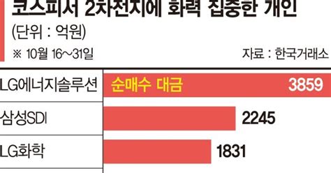 2차전지주 늪에 빠진 개미들