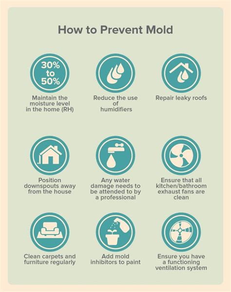 Here S How You Can Prevent Mold From Growing In Your Beautiful Home