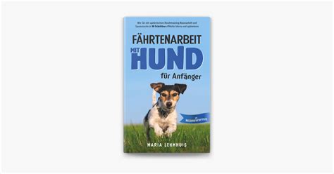 F Hrtenarbeit Mit Hund F R Anf Nger Wie Sie Mit Spielerischem