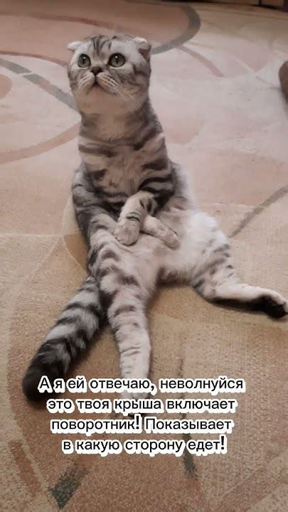 Маман... - YouTube