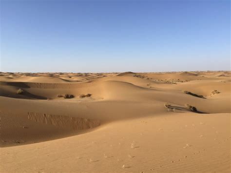 El Polvo Del Sahara Fertiliza Al Amazonas