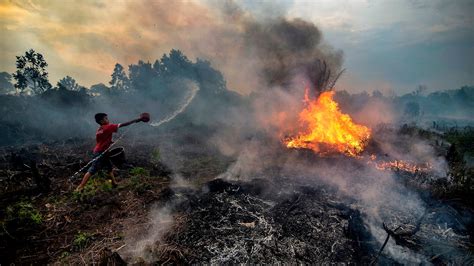 A Season Of Fire Tests Indonesias Efforts To Curb Deforestation The