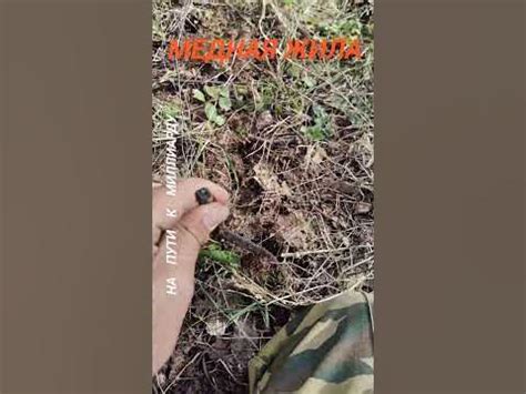 медная жила #металл #медь #цветмет - YouTube