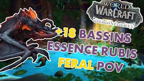 BASSIN DE L ESSENCE RUBIS 18 POV FERAL WOW DRAGONFLIGHT RUN MM