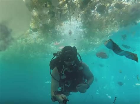 Divers Underwater Video Exposes Balis Severe Plastic Pollution News