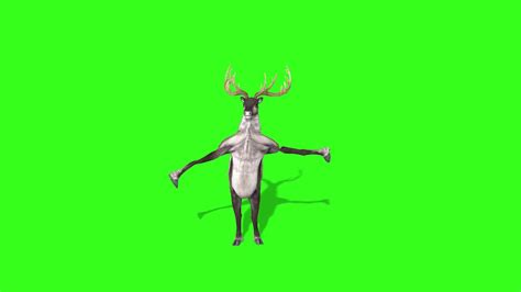 Dancing Green Screen For Chromakey Грин скрин Green Screen Effects 👍