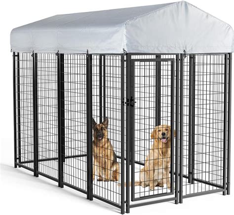 BOSSIN 8x4x6 FT Outdoor Dog Kennel for Large Dogs,Large Outdoor Dog Kennel & Reviews | Wayfair