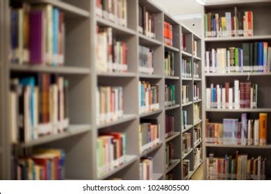 Library Books Shelves Stock Photo 1024805500 | Shutterstock