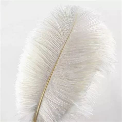 Plumas De Avestruz Blancas 20 25 Cm 10 Pcs Meses sin interés