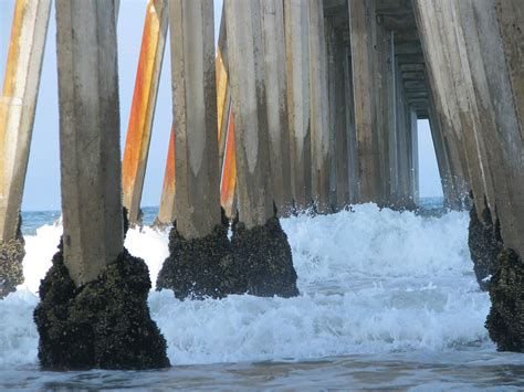 Hermosa_2008_Pilings1 - Pier Fishing in California