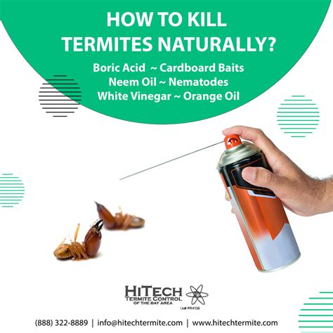 How To Kill Termites Naturally How To Kill Termites Natur Flickr