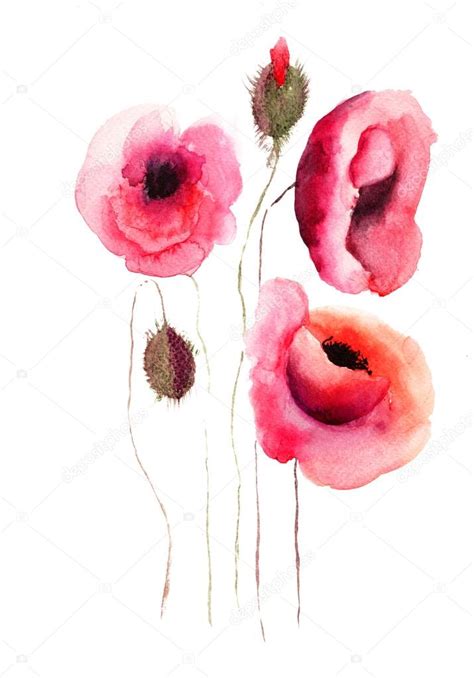 Poppy Flowers Watercolor Illustration — Stock Photo © Jershova 13753116