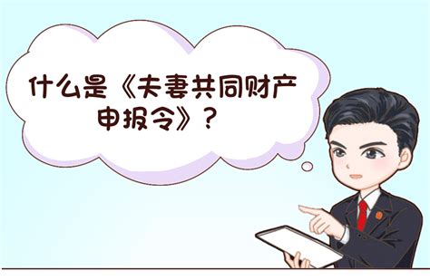 普法课堂 什么是《夫妻共同财产申报令》？ 诉讼 双方 当事人