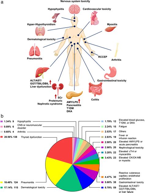 The Organ Distribution And Spectrum Of Immune‐related Adverse Events Download Scientific