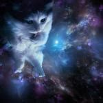 Cat God Meme Generator - Imgflip