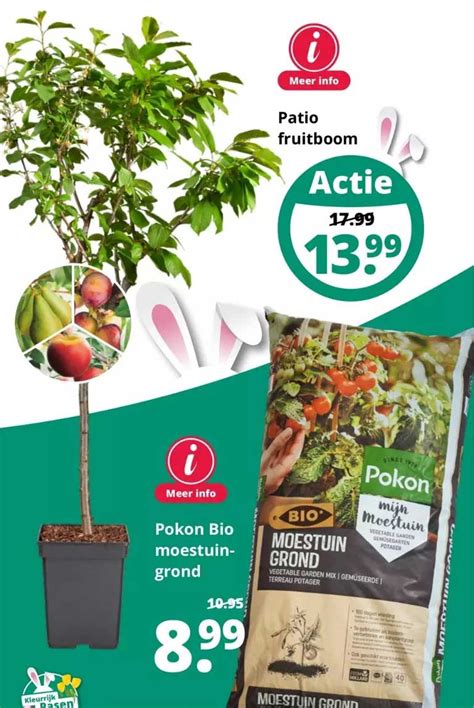 Patio Fruitboom Of Pokon Bio Moestuingrond Aanbieding Bij Groenrijk