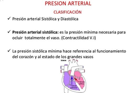 Qué es la presión sistólica La presión arterial