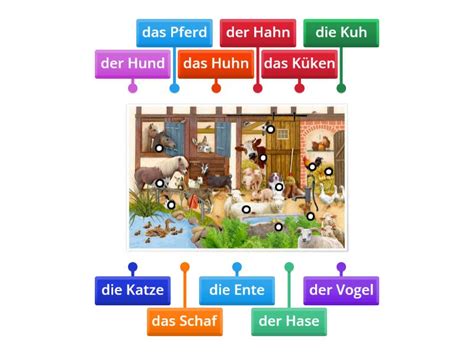 Tiere Auf Dem Bauernhof Labelled Diagram