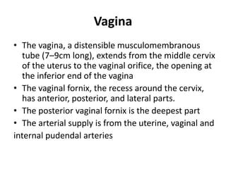 Gross Anatomy For Anesthesia Ppt