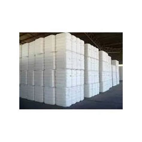 Shankar Raw Cotton Bales At Rs 112000ton Raw Cotton Bale In