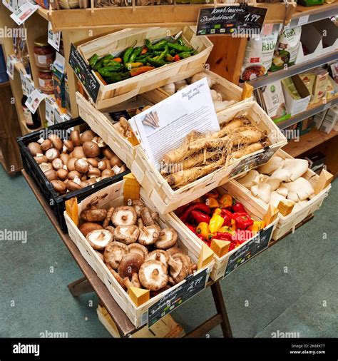 Chiitake Pilze Fotograf As E Im Genes De Alta Resoluci N Alamy