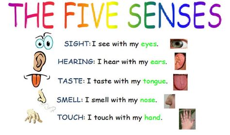 Five Senses Feel