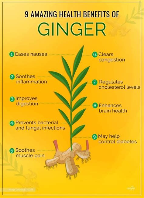 Ginger Garlic Benefits Health Benefits Of Ginger Garlic Health