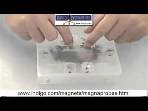 Magnetic Field Viewer-bar Magnet Compass Demonstration