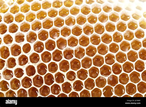 Honey Bee Wax Honeycomb Cells With Sweet Honey Stock Photo Alamy