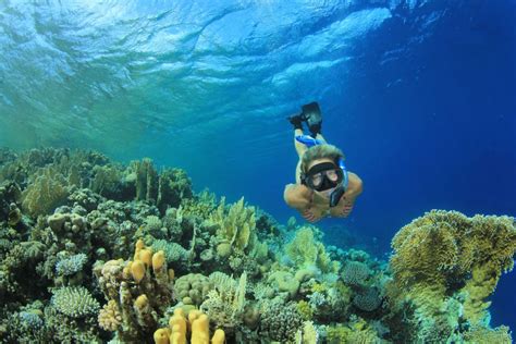 Desde Marsa Alam Excursión en barco para hacer snorkel en Marsa Mubarak