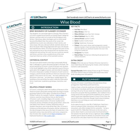 Wise Blood Chapter 14 Summary Analysis LitCharts