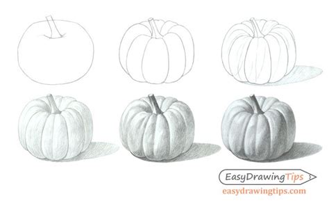 How To Draw A Realistic Pumpkin Step By Step Tutorial Easydrawingtips Realistic Pencil