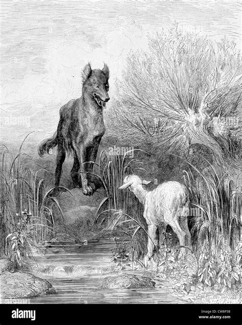 The Wolf And The Lamb Banque D Images Noir Et Blanc Alamy