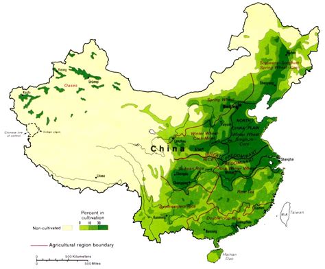 World Top Agricultural Producing Countries