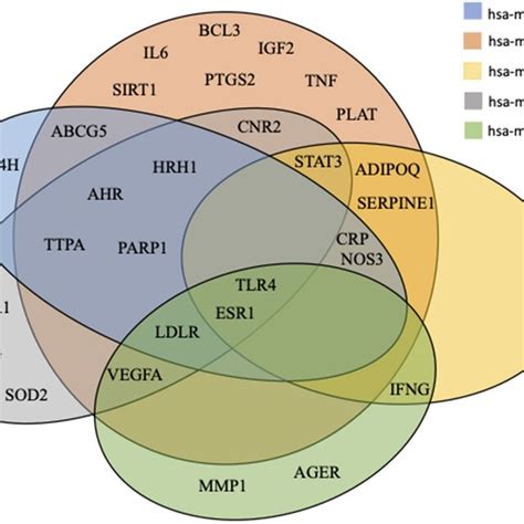 Venn Diagram Of Mirnas Targets All Predicted Genes For The