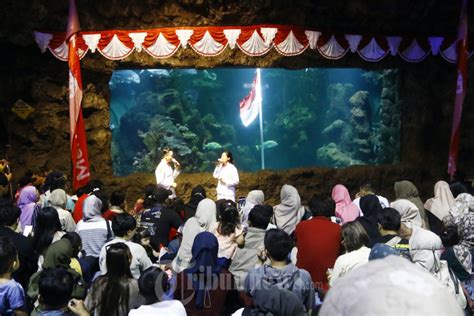 Sambut Hut Kemerdekaan Ri Ke 78 Sea World Ancol Rame Pengunjung Foto