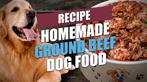 Homemade Ground Beef Dog Food Recipe Youtube