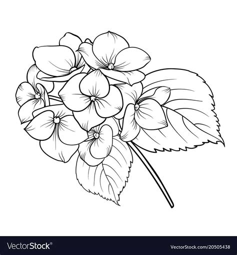 Flower Drawing Tutorials Flower Line Drawings Flower Art Drawing