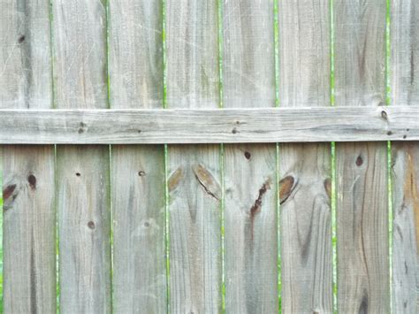 Free Images Tree Branch Fence Wood Texture Leaf Floor Window