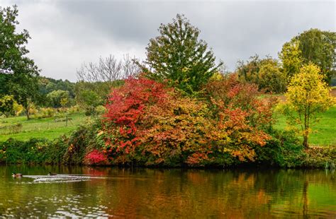 Free Images Landscape Tree Nature Leaf Flower Lake River Pond