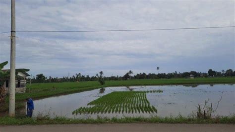 Cuaca Di Kabupaten Paser Hari Ini Berpotensi Diguyur Hujan Untuk