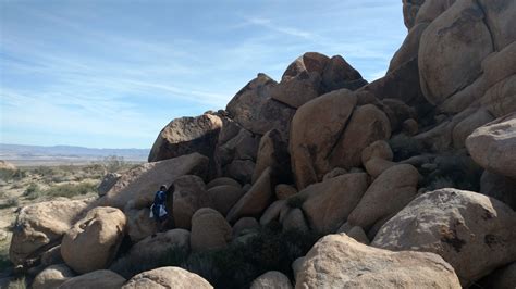 best campground in joshua tree national park 10