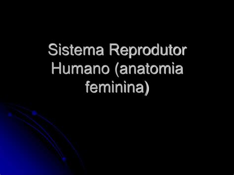 Ppt Sistema Reprodutor Humano Anatomia Feminina Powerpoint